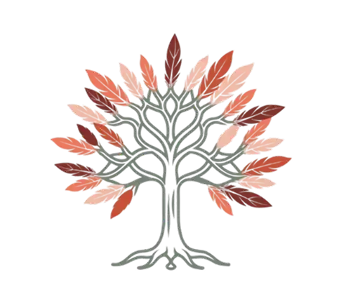 Logo Une Graine des plumes